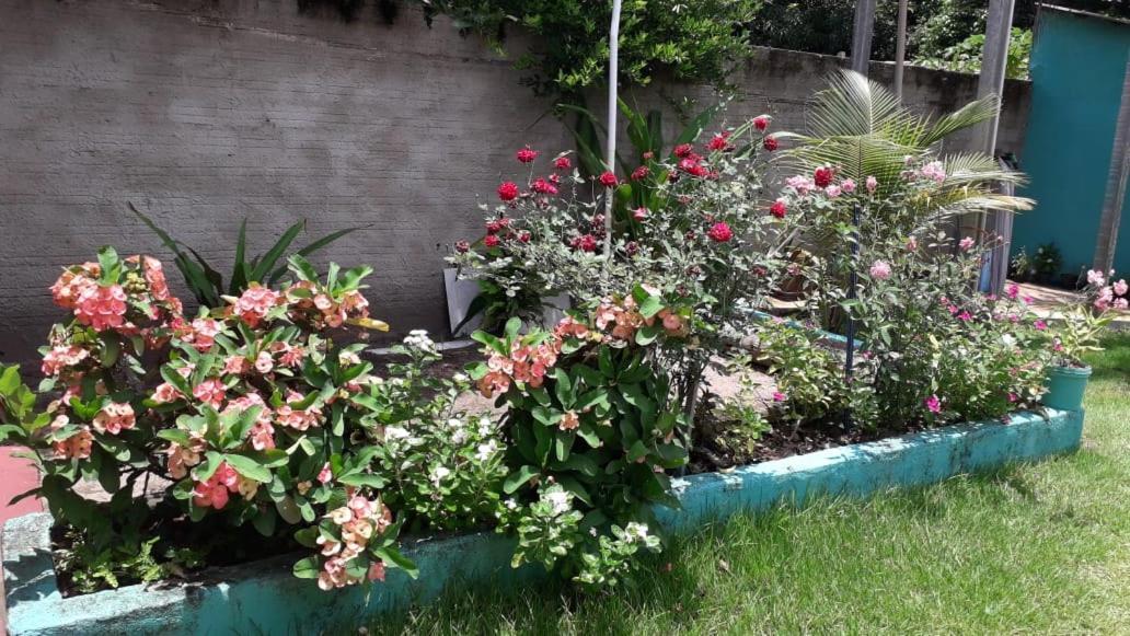 Pousada Tropicaliente Alter do Chao Exterior photo